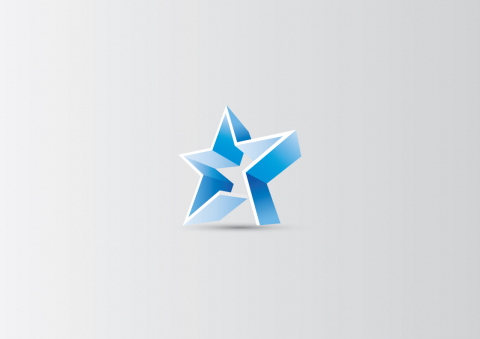 Star-Logo-Preview-04