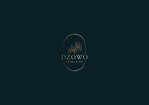 Dzowo Corporate Identity adn Backaging 02