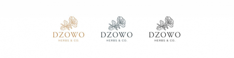 Dzowo Corporate Identity adn Backaging 09