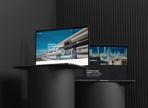 Grupo Videre Website