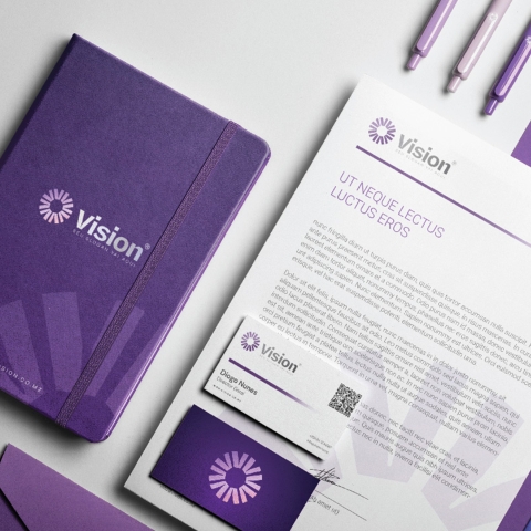 Vision Estacionário