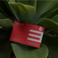 NSV Design – Cultivar Identidade Visual Artboard 31