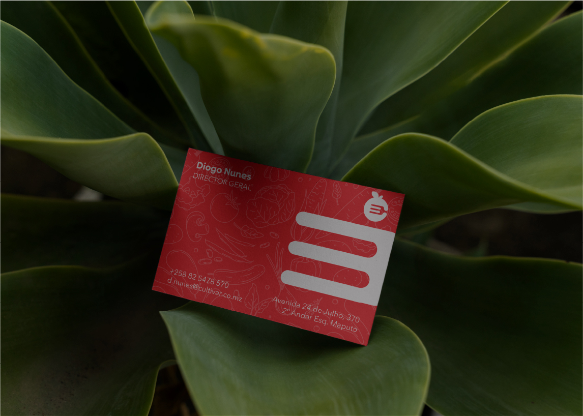 NSV Design – Cultivar Identidade Visual Artboard 31