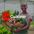 NSV Design – Cultivar Identidade Visual Artboard 35