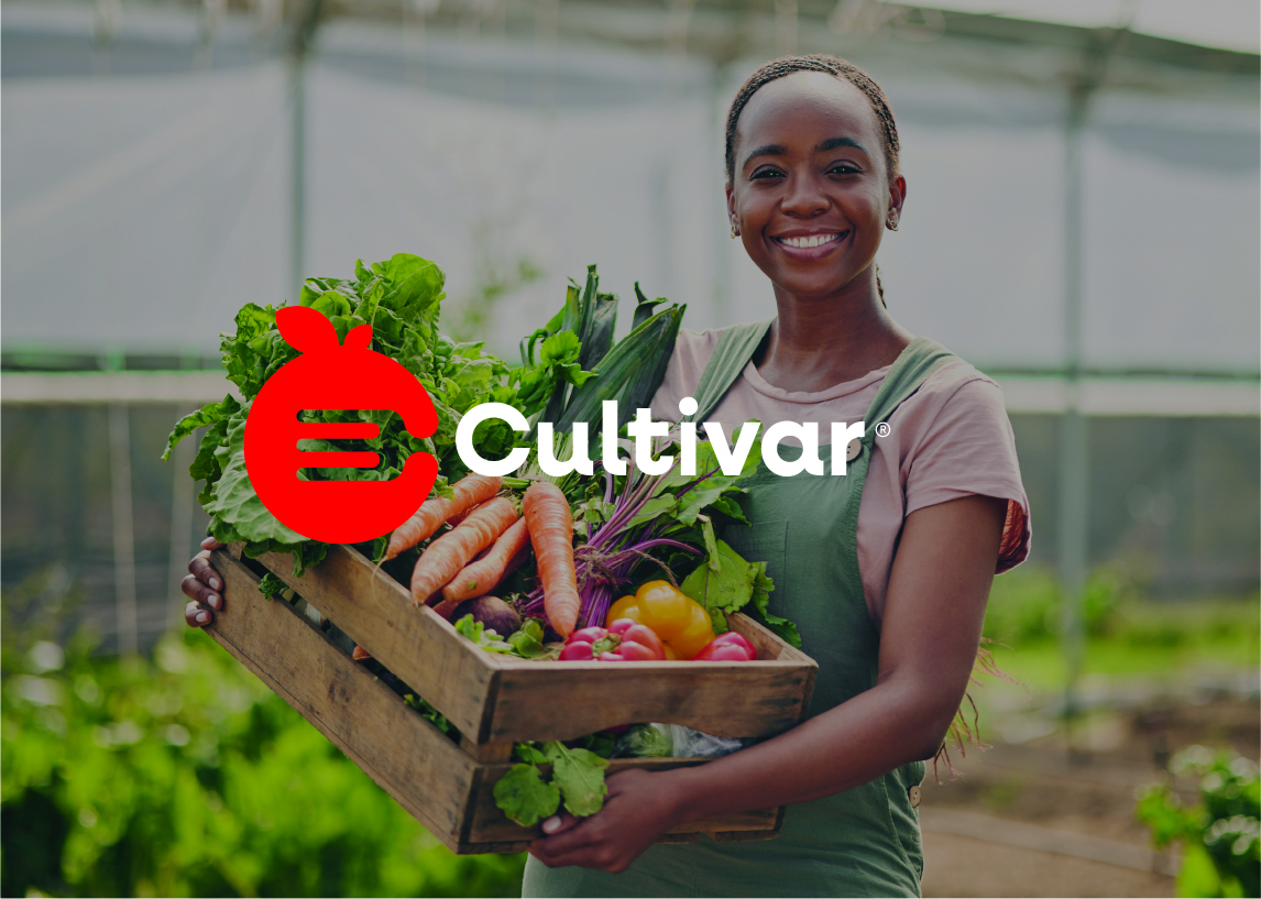 NSV Design – Cultivar Identidade Visual Artboard 35